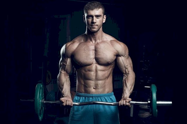 bodybuilding shred diet