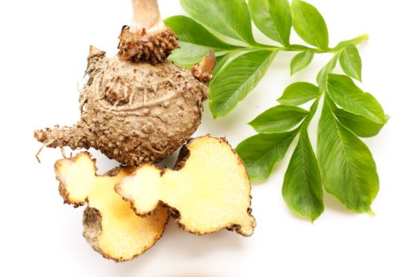 Glucomannan Explained – What is it and How Does it Work