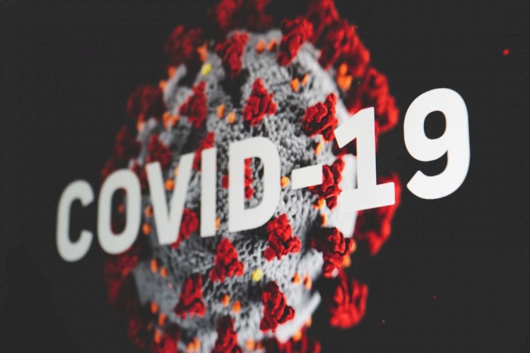 When Will a COVID-19 Vaccine Be Available — and Who Will Get It First?